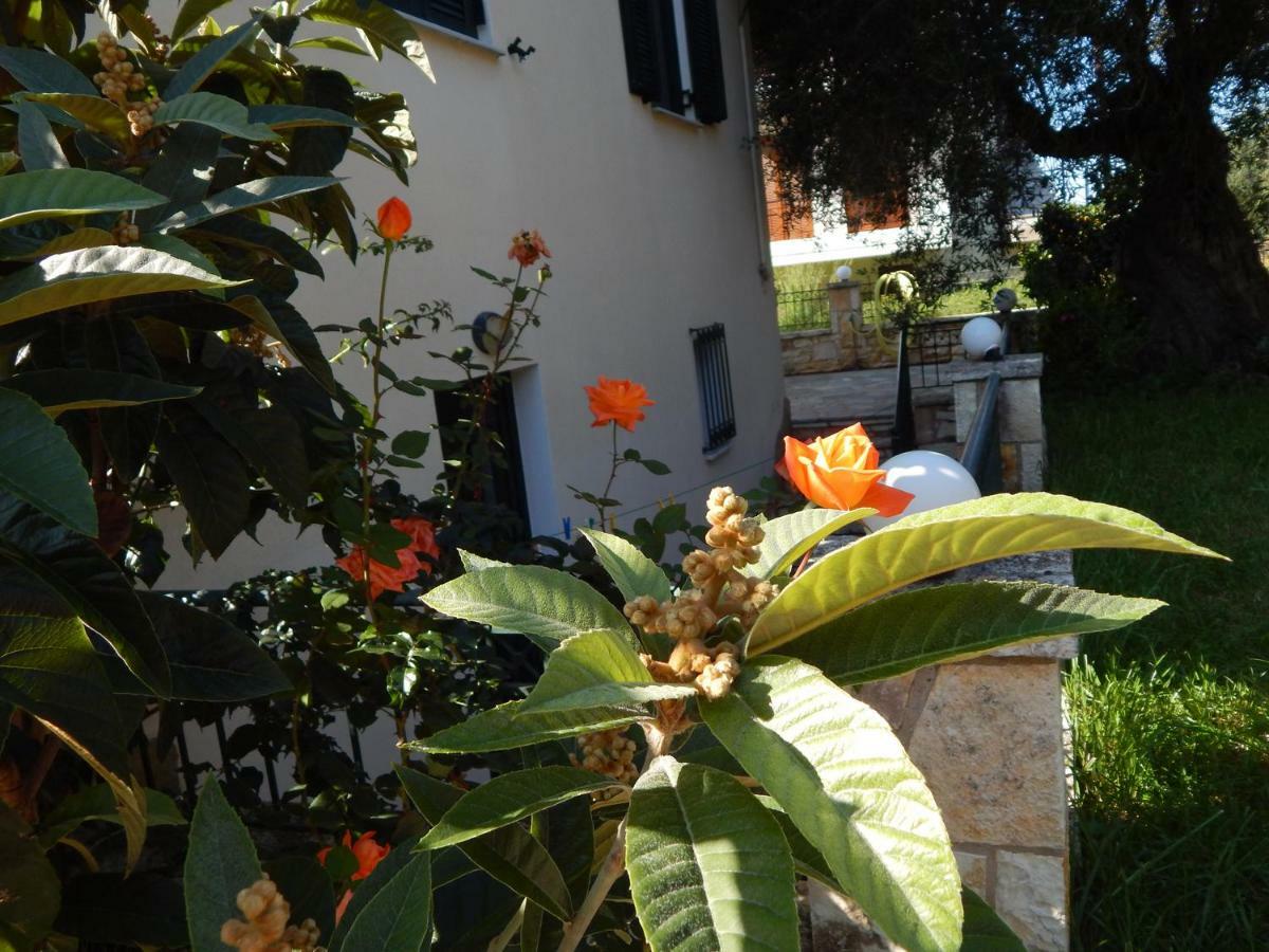 Villa Dimitra Sivota  Ngoại thất bức ảnh